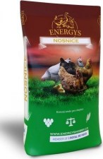 energys nosnice